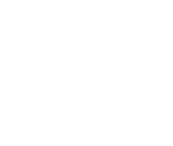 resq-icon